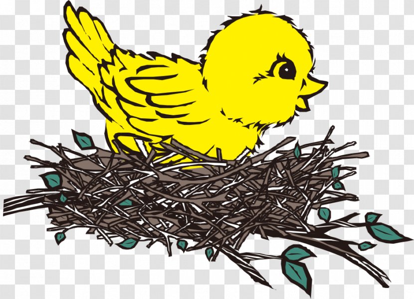 Bird Nest Clip Art Coloring Book - Animal - Birdhouses Button Transparent PNG