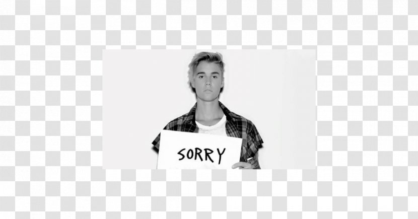 Sorry Song Musician Purpose - Silhouette Transparent PNG