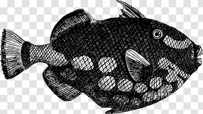Deep Sea Fish Clip Art - Organism Transparent PNG