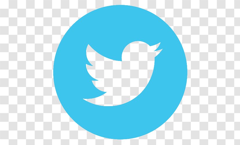 Social Media Digital - Bird Transparent PNG