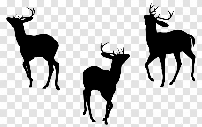 Elk Reindeer Antler Fauna Font - Cowgoat Family - Chamois Transparent PNG