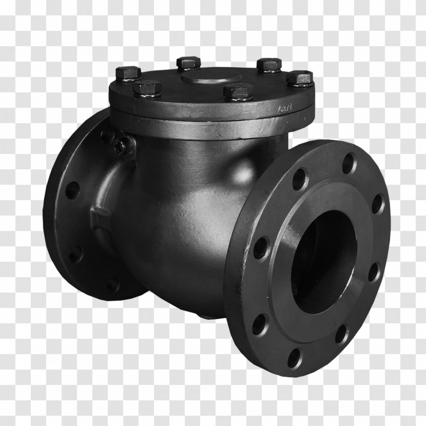 Specification For Steel Globe And Stop Check Valves (Flanged Butt-Welding Ends) The Petroleum, Petrochemical Allied Industries Stainless Ball Valve - OMB Double Block Transparent PNG