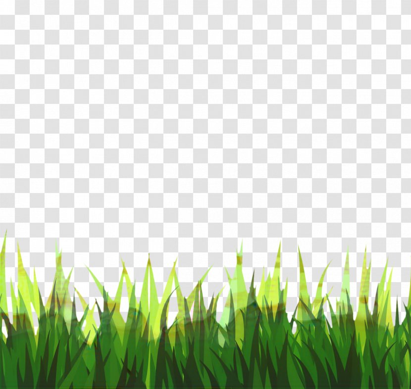 Green Grass Background - Video Clip - Fodder Grassland Transparent PNG