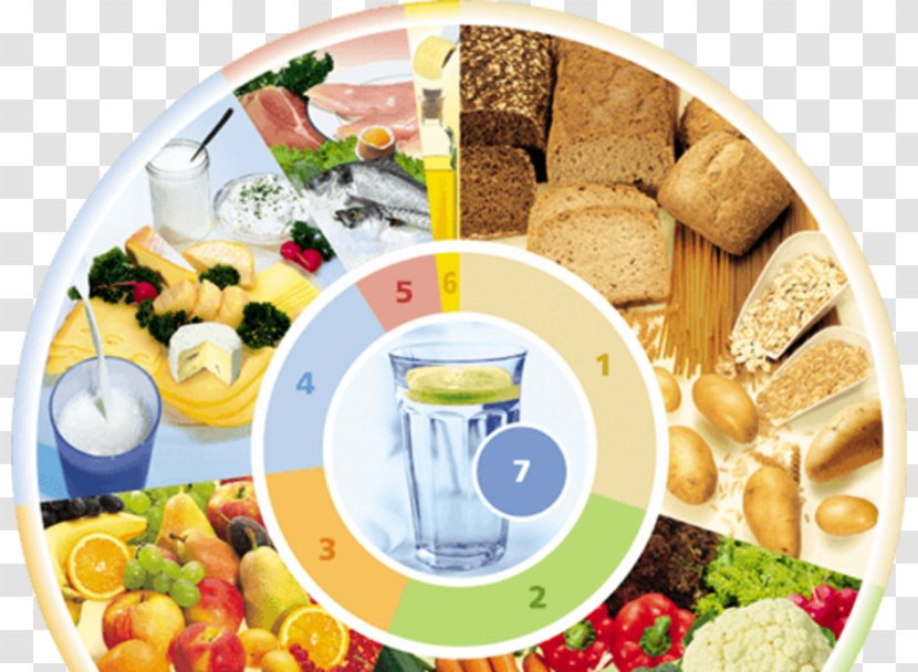 German Nutrition Society Food Pyramid Human Health Nutrient - Cuisine Transparent PNG