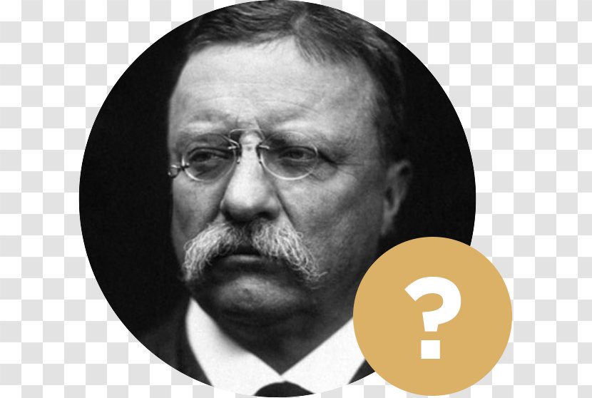 Theodore Roosevelt On Leadership: Executive Lessons From The Bully Pulpit United States Thirteen Books A Vote Is Like Rifle: Its Usefulness Depends Upon Character Of User. - Portrait Transparent PNG