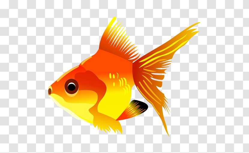 Pet Goldfish Cartoon Clip Art - Fish Transparent PNG