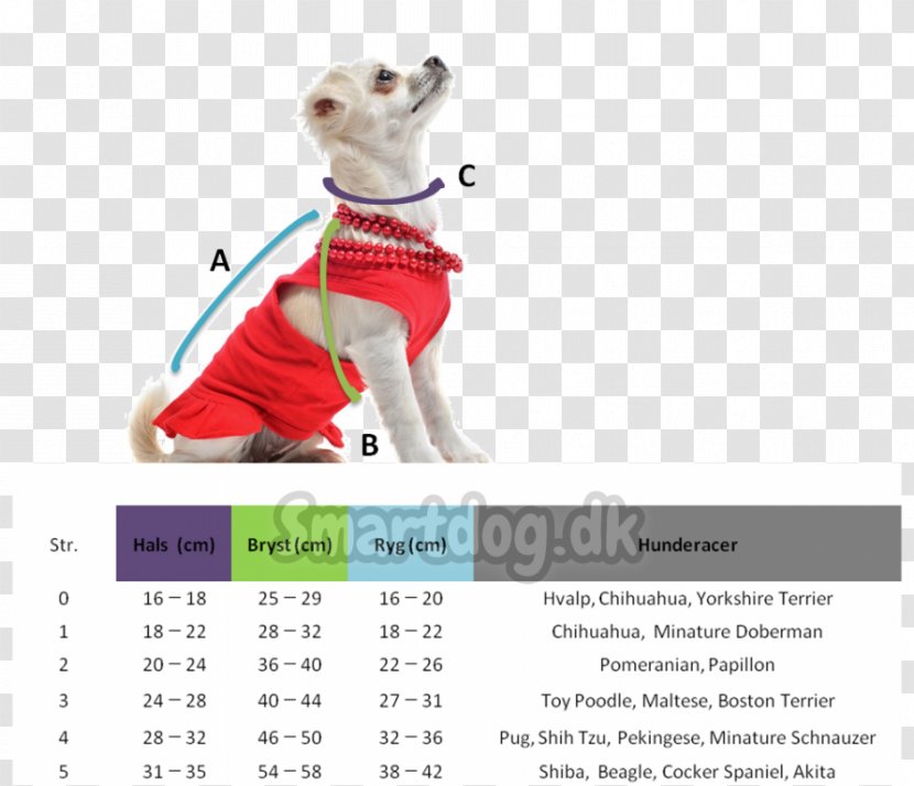 Calendar Leash Brand Font - Seleção Transparent PNG