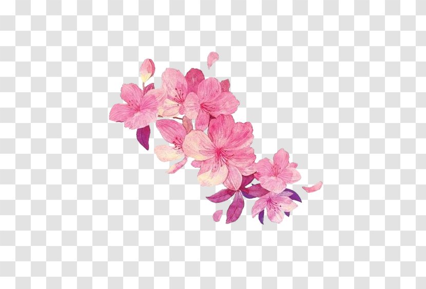 Floral Design Illustration - Peach - Pink Hand Painted Transparent PNG
