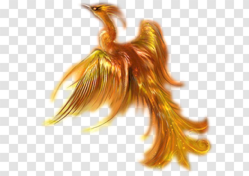 Phoenix Mythology Legend Bird - Royaltyfree Transparent PNG