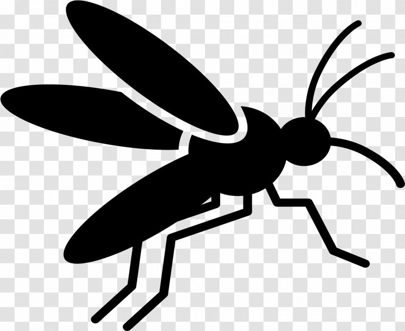 Leaf Fly - West Nile Fever - Coloring Book Wasp Transparent PNG