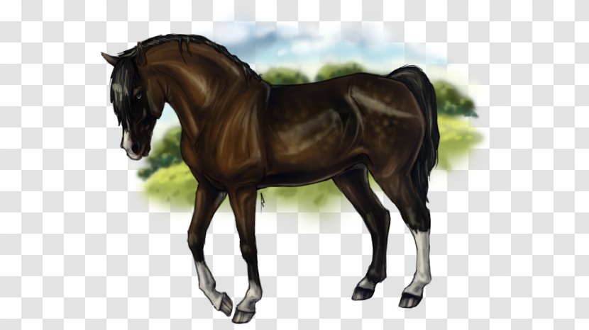 Stallion Mustang Rein Mare Horse Harnesses - Bridle Transparent PNG