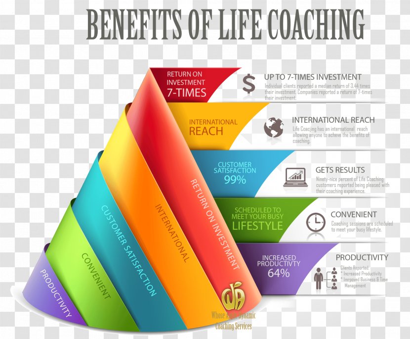 Diagram Chart - Material - Design Transparent PNG