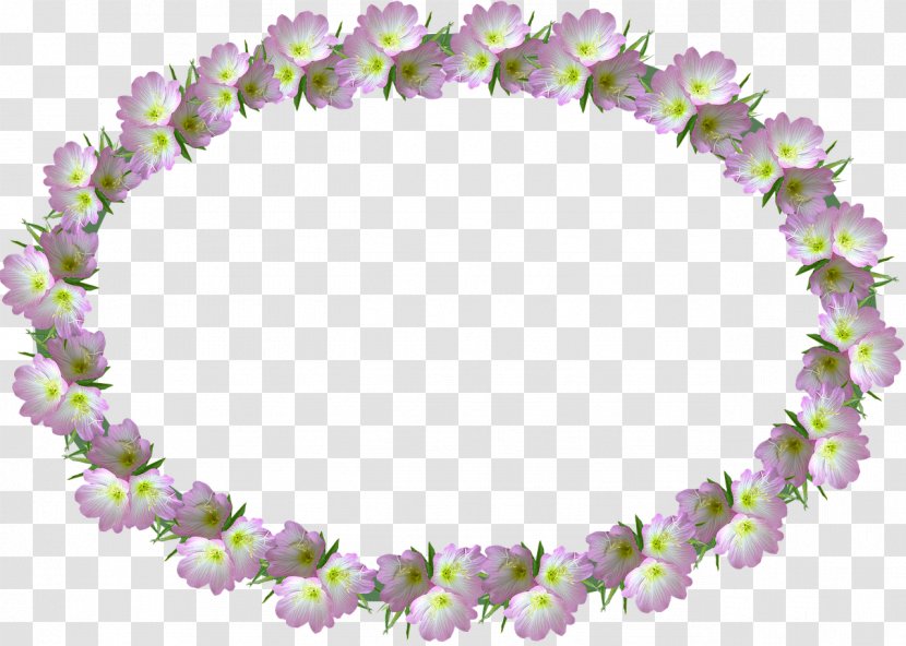Clip Art Photograph Image Stock.xchng Illustration - Plant - Flower Frames Transparent PNG