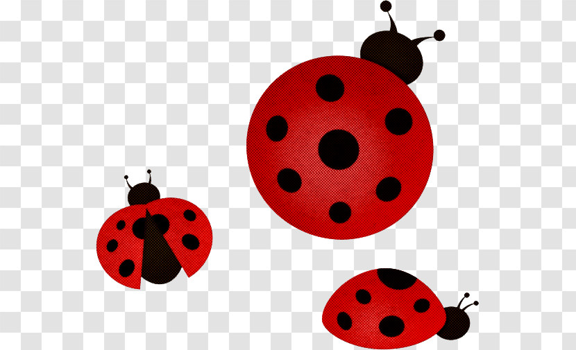 Ladybird Beetle Beetles Computer Icon Cartoon Transparent PNG
