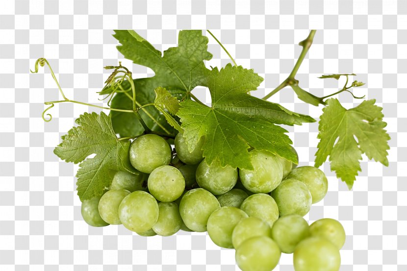 Juice Common Grape Vine Wine Fruit - Leaves - Grape,Green Grapes Transparent PNG
