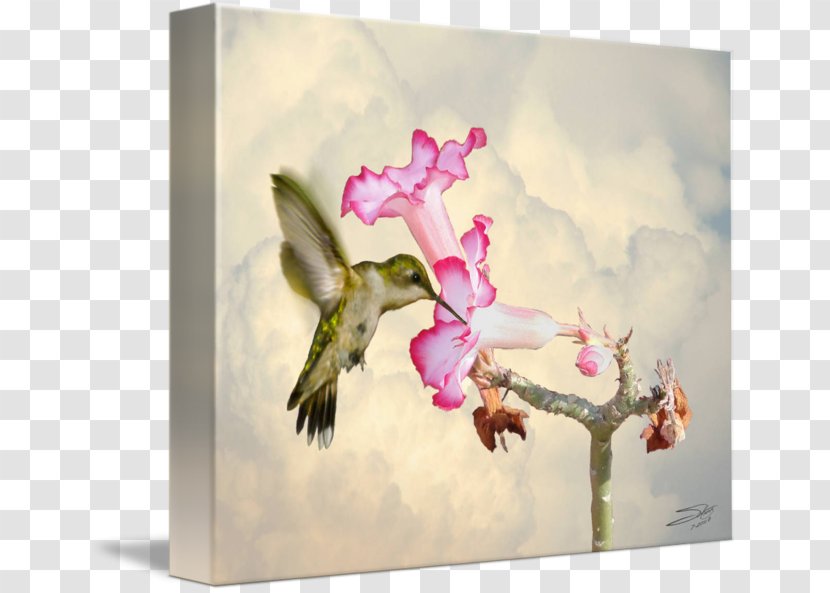 Hummingbird Watercolor Painting Rose - Wing - Leslie Transparent PNG