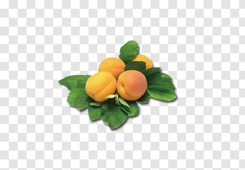 CARD Peach Apricot Yerevan City Supermarket - Apricots Transparent PNG