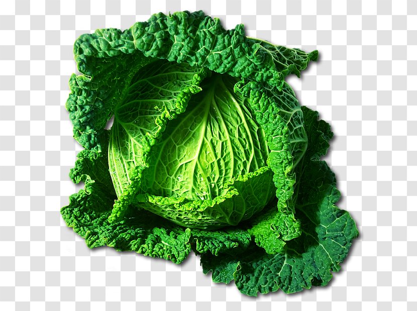 Savoy Cabbage Clip Art Vegetable Red - Collard Greens Transparent PNG