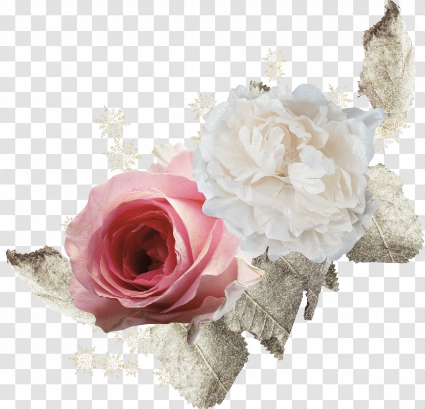 Clip Art - Rosa Centifolia - Wedding Transparent PNG