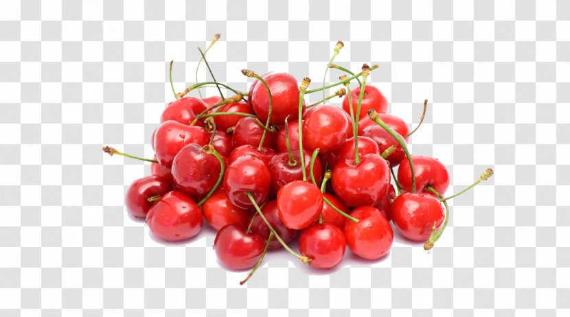 Fruit Tree Cherry Berry Vegetable - Cranberry Transparent PNG