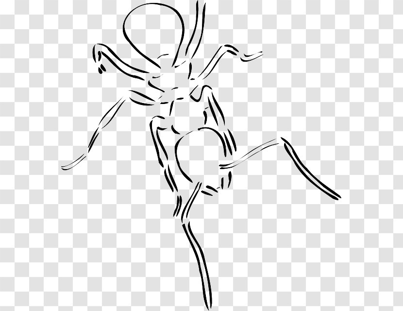 Ant Insect Clip Art Transparent PNG