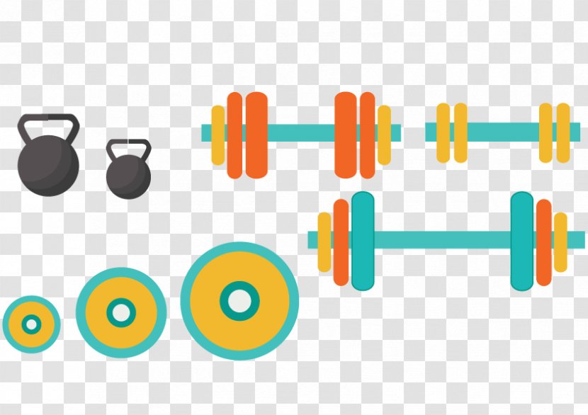 Exercise Equipment Euclidean Vector Physical Weight Training - Fitness Centre - Dumbbell Barbell Sports And Transparent PNG