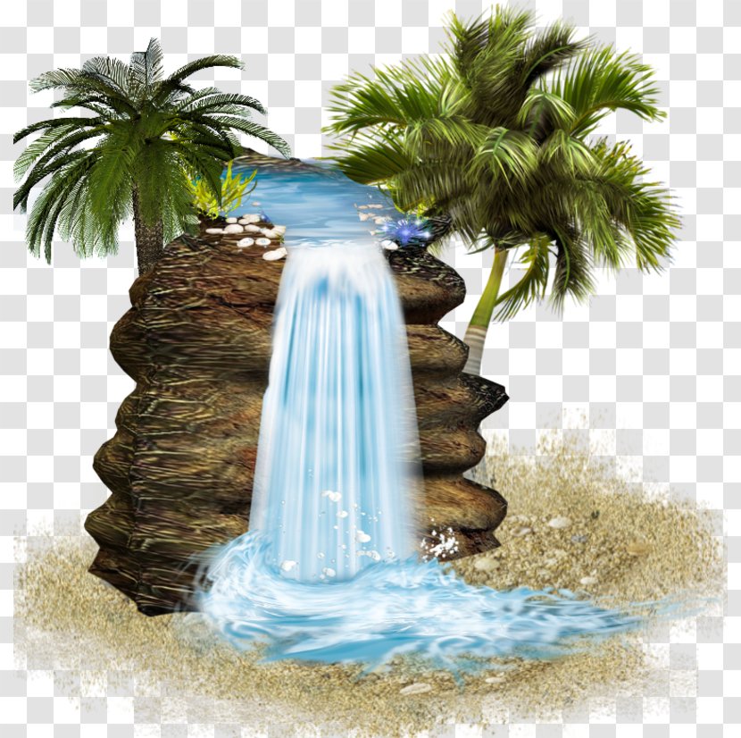 KATILIM 30 Clip Art - Palm Tree - Waterfall Video Transparent PNG