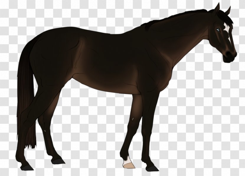Mane Mustang Stallion Mare Colt - Horse Harness Transparent PNG