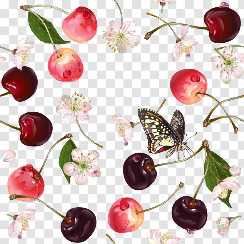 Cherry Auglis Fundal - Cartoon - Sweet Fruit Vector Transparent PNG
