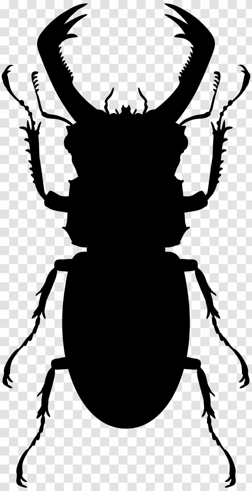 Hercules Beetle Stag Vector Graphics Stock Photography Transparent PNG
