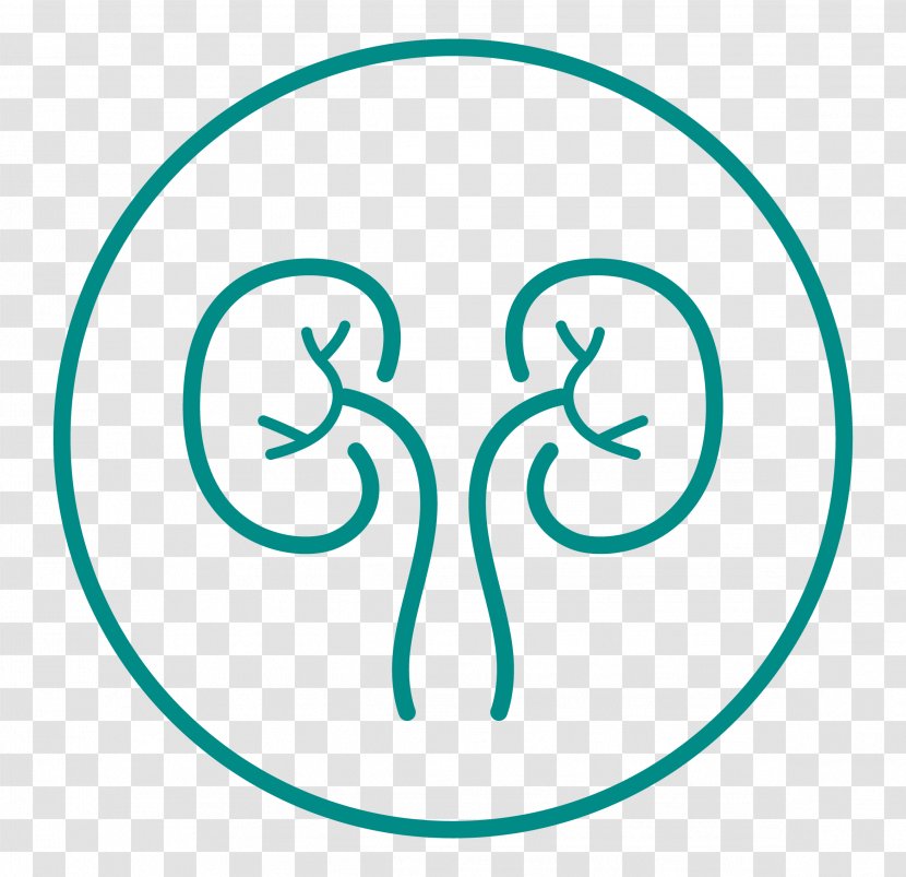 Urology General Surgery Medicine Medical Diagnosis - Cenario Transparent PNG