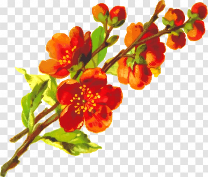 Flowering Plant Clip Art - Petal - Floral Painting Transparent PNG
