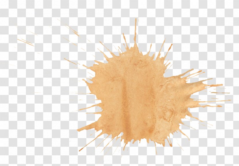 Brown Watercolor Painting - Digital Media - Beige Color Transparent PNG