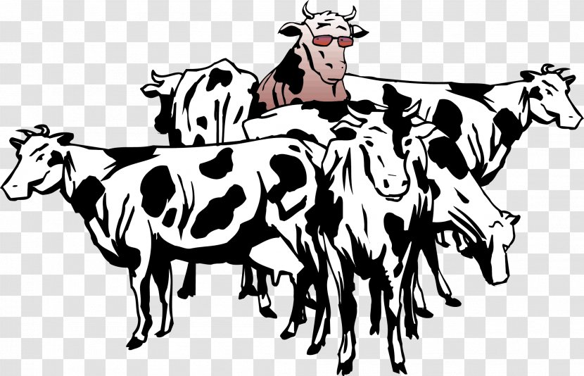 British White Cattle Beef Sheep Herd Clip Art - Cow Vector Transparent PNG