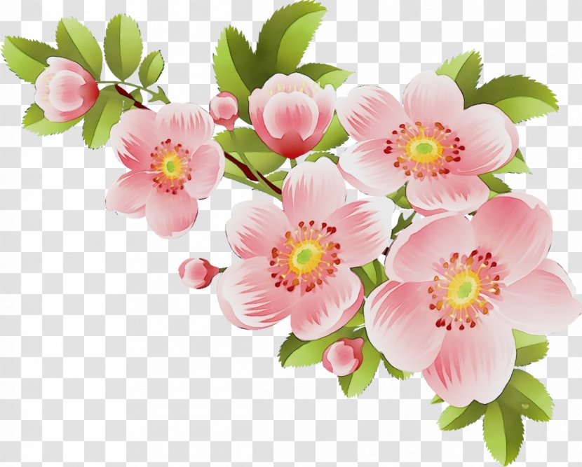 Flower Flowering Plant Pink Petal - Wet Ink - Bouquet Rosa Rubiginosa Transparent PNG