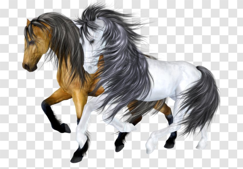 Mustang Drawing Stallion Pony Clip Art - Cartoon Horse Transparent PNG