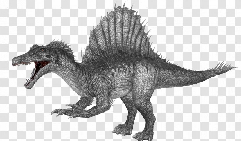 Tyrannosaurus Spinosaurus ARK: Survival Evolved Giganotosaurus Velociraptor - Doedicurus Clavicaudatus - Ark Shell Transparent PNG