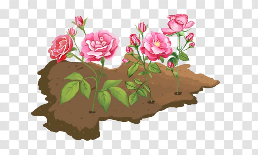 Garden Roses Floral Design Red Pink - Designer - Peony Flowers Transparent PNG