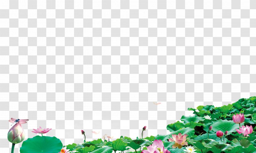 Lotus Background - Floral Design - Rgb Color Model Transparent PNG