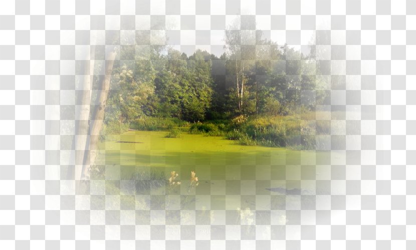 Water Resources Desktop Wallpaper Landscape Trident - Paisajes Transparent PNG