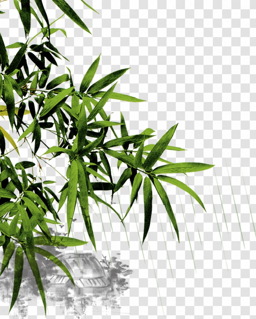 China Bamboo Mid-Autumn Festival Qingming - Tree Transparent PNG
