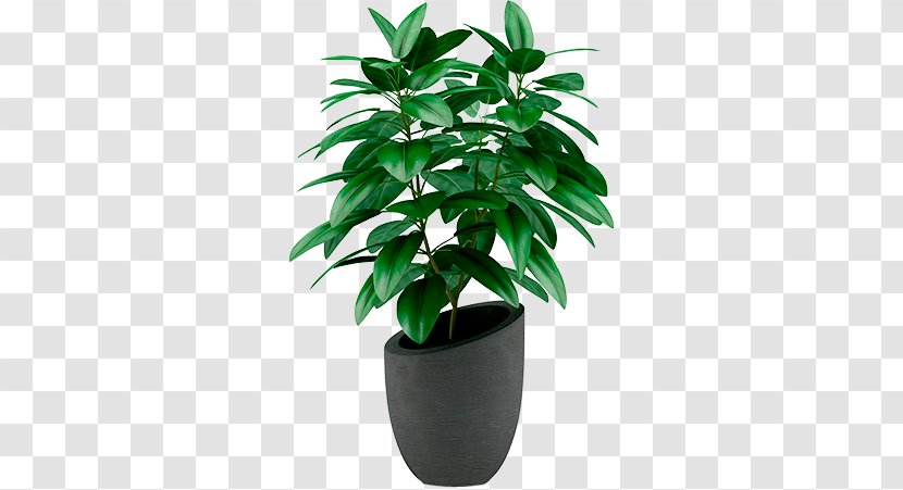 Houseplant Flowerpot Stock Photography - Herb - Plant Transparent PNG