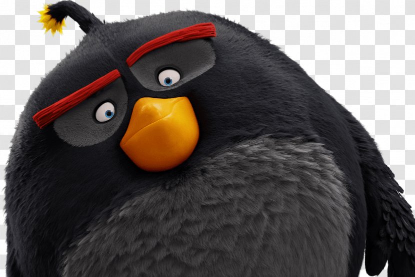 Angry Birds Mighty Eagle Film Transparent PNG