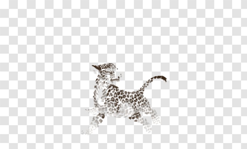 Cat Dog Canidae Body Jewellery Mammal - Big Cats Transparent PNG