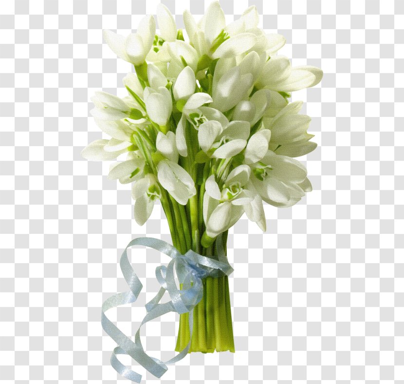 Desktop Wallpaper Flower Bouquet - Snowdrop Transparent PNG
