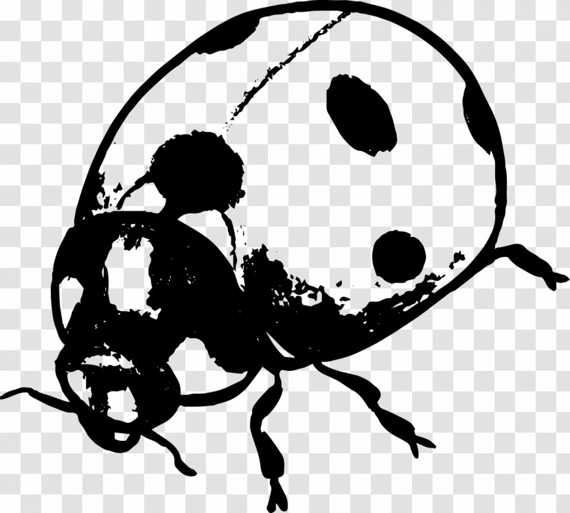 T-shirt Insect Ladybird - Invertebrate Transparent PNG