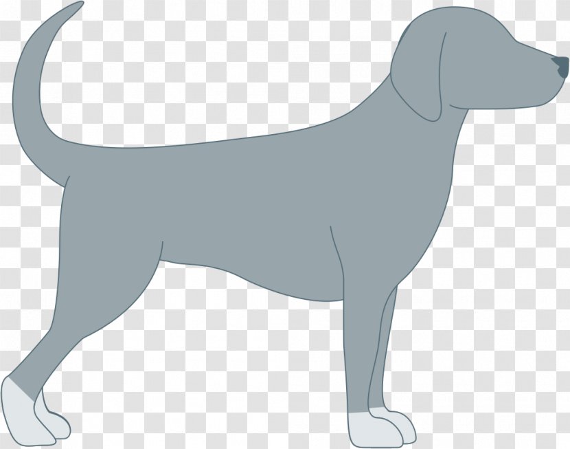Labrador Retriever Puppy Dog Breed Sporting Group Transparent PNG