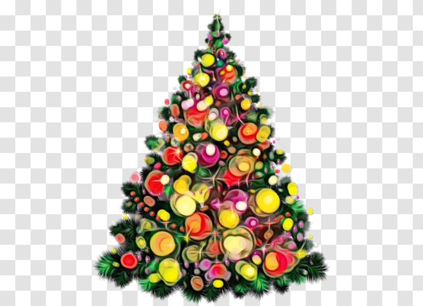 Christmas Tree - Watercolor - Plant Transparent PNG