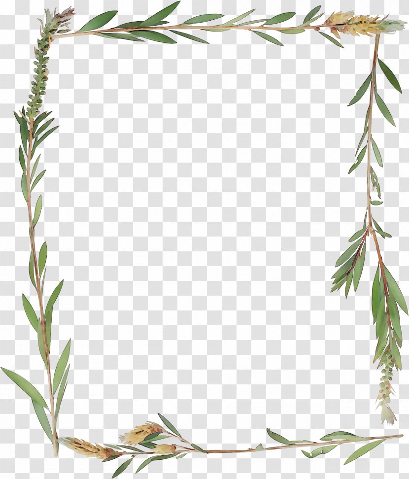 Picture Frames Plant Stem Leaf Flower Grasses Transparent PNG