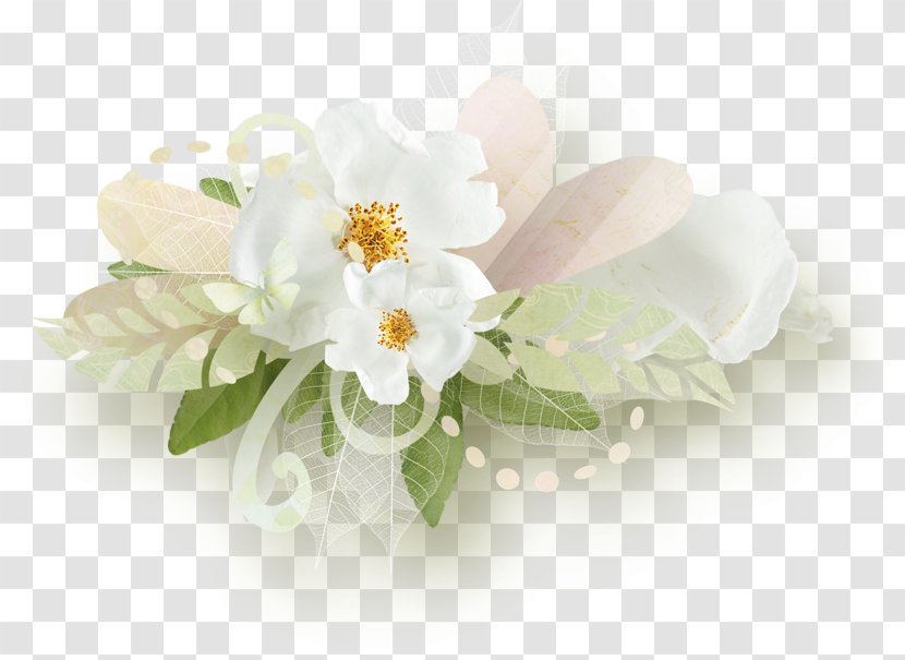 Petal Flower Rose White Clip Art - Pink Transparent PNG